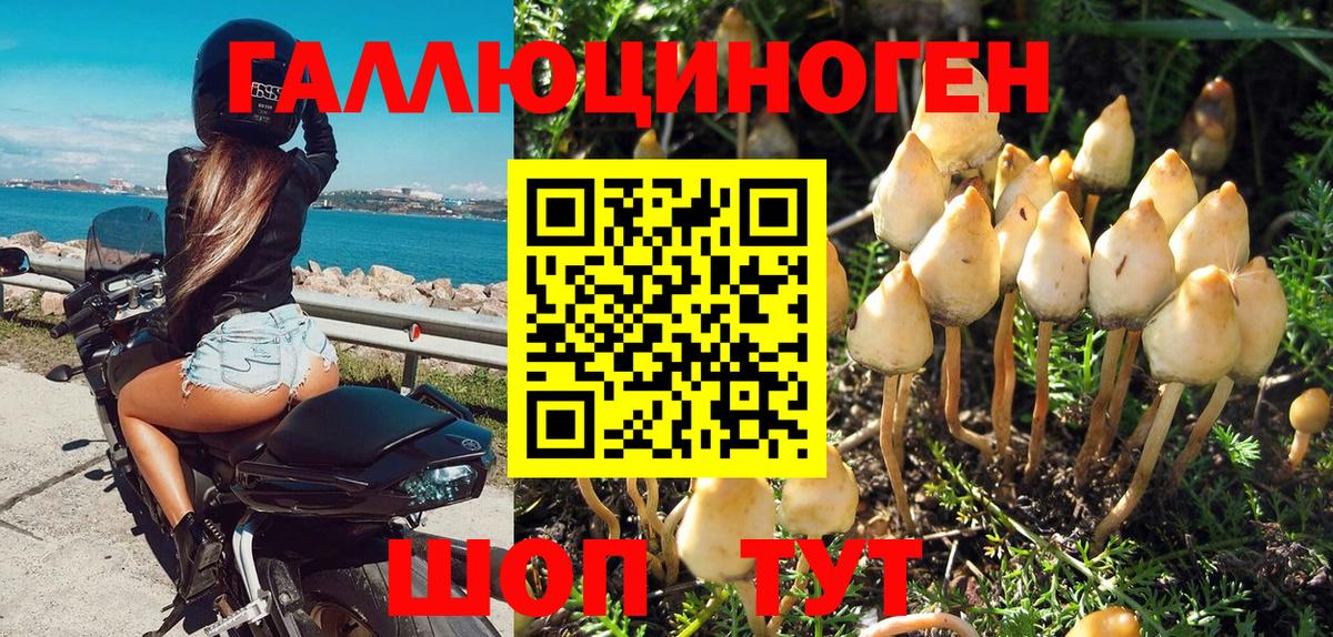 Псилоцибиновые грибы мухоморы Пушкино